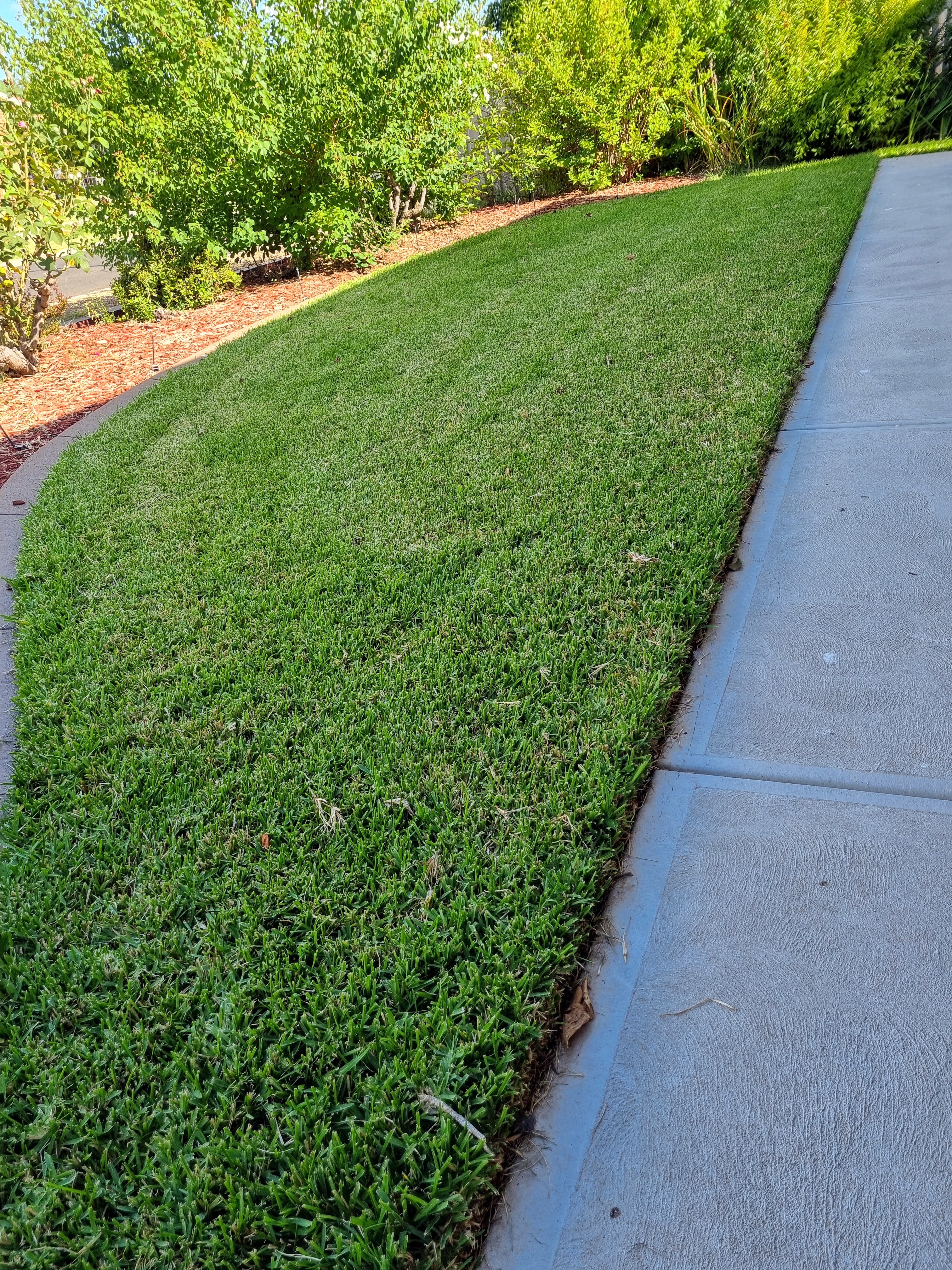 mowed lawn with trimmed edges