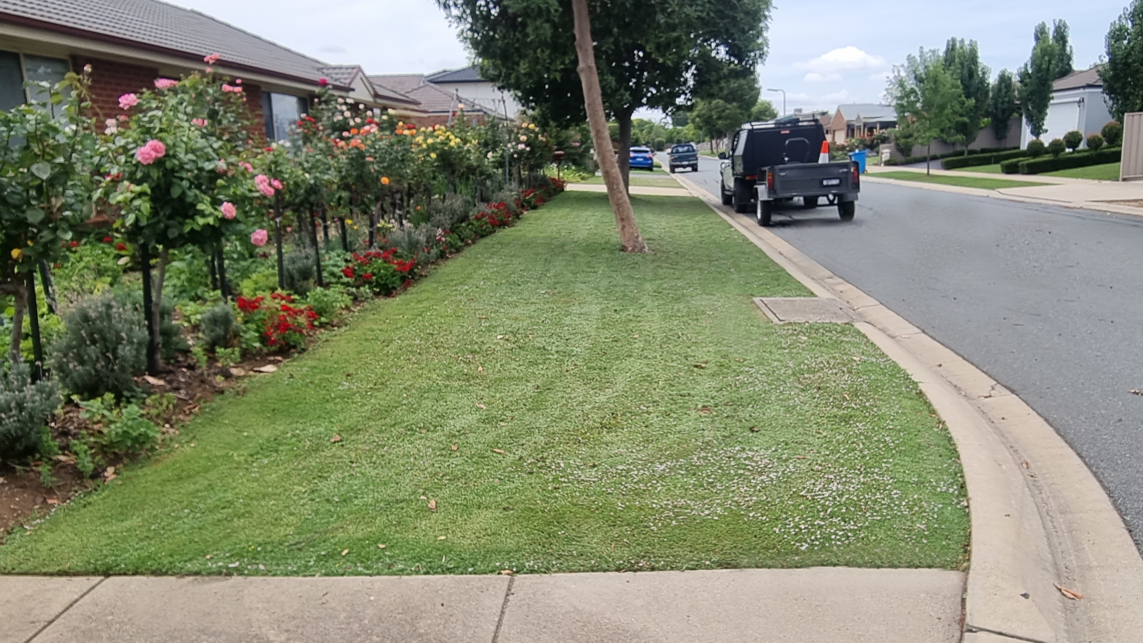 Lawncare example